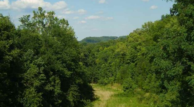hiking as a form of meditation