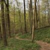 Hueston Woods Hiking Trail