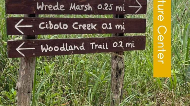 Cibolo Nature Center hiking in hot weather